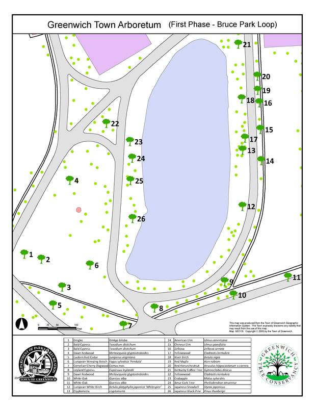 Bruce Park Arboretum Greenwich Tree Conservancy