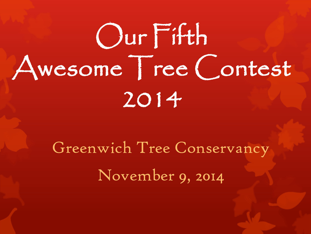 Fifth Annual Awesome Tree Contest Awards