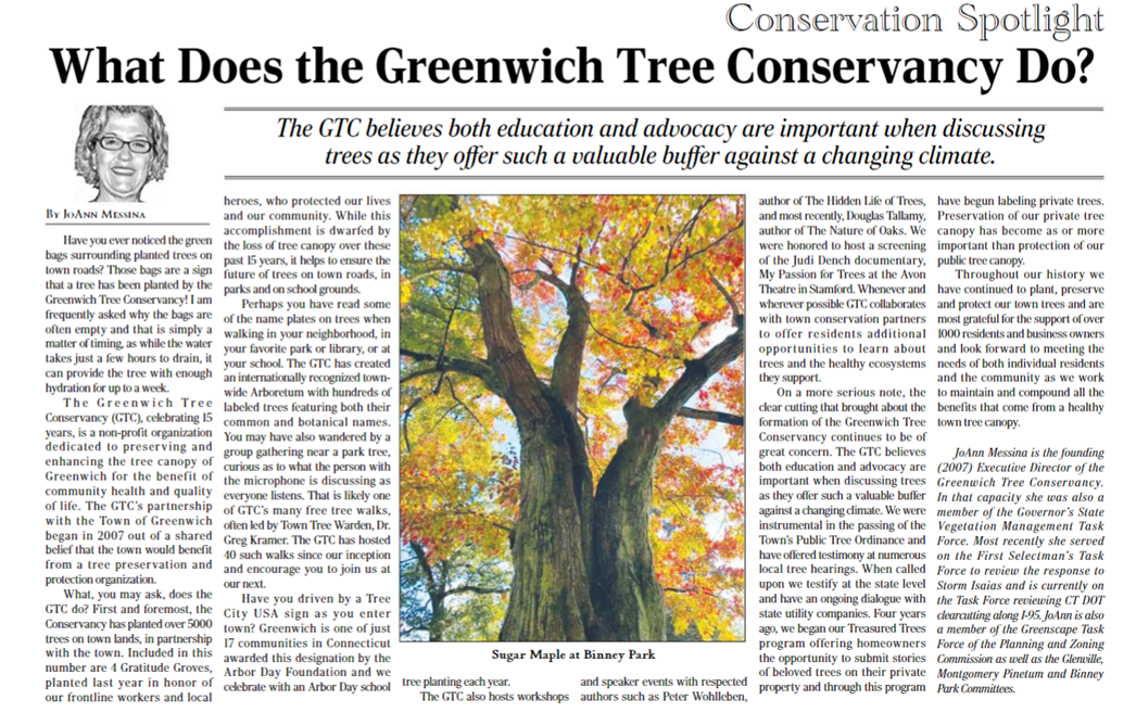 Greenwich Sentinel: What Does the Greenwich Tree Conservancy Do 2.15.2022