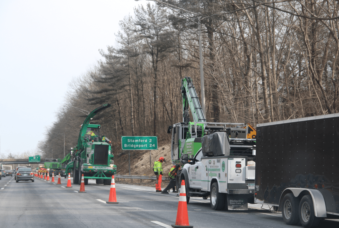 Protecting Our Trees - Greenwich Tree Conservancy