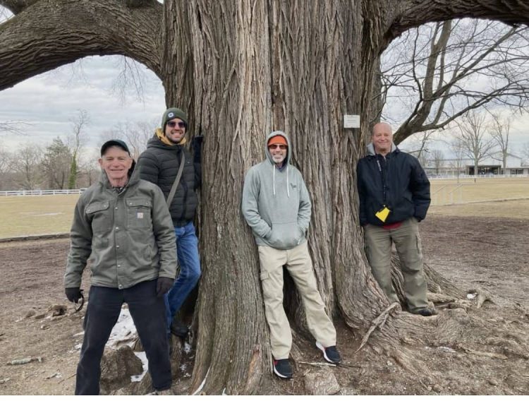 Our Oldest Trees Draw Crowd, Sense of Stewardship - Greenwich Tree ...